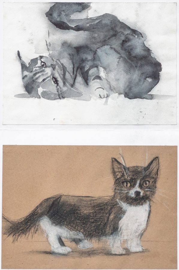 Two cats